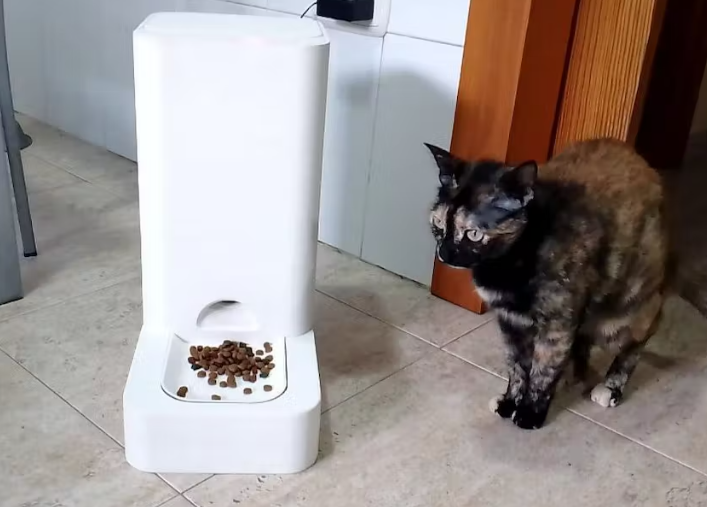 Imagen de Dispensador de comida para perros y gatos